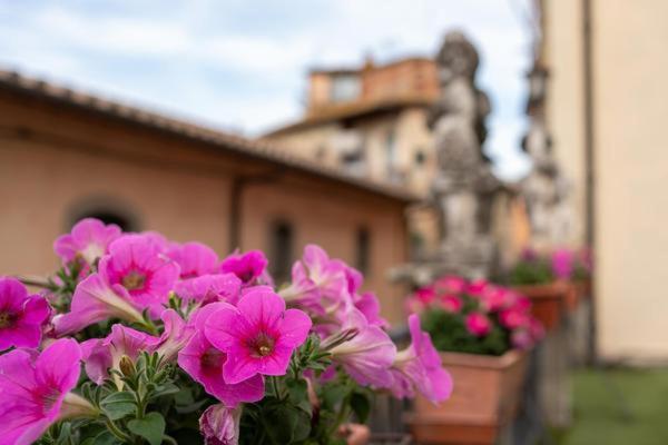 La Finestra Sul Borgo Dimora Storica Διαμέρισμα Laterina Εξωτερικό φωτογραφία